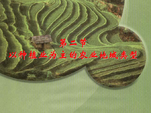 以种植业为主的农业地域类型广东省广州市东山区